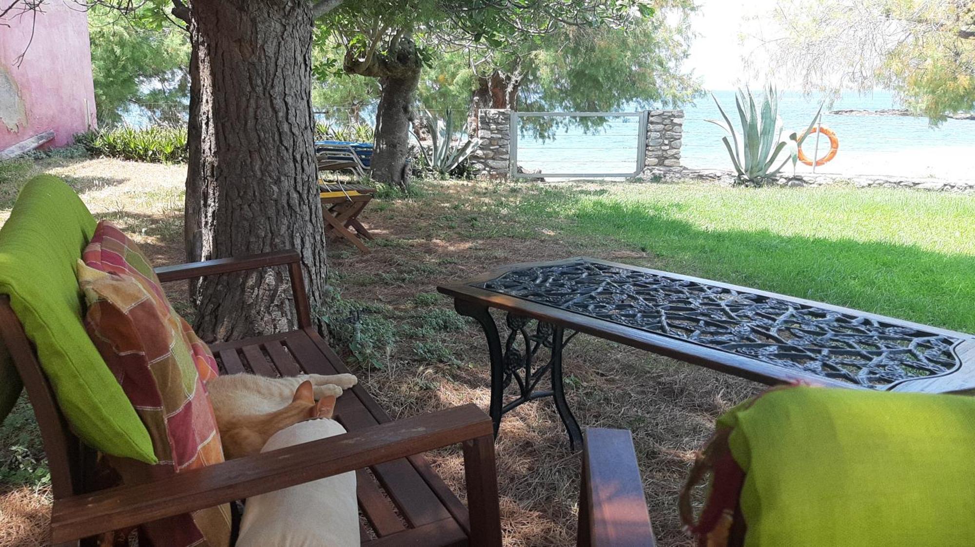 Malsova-home